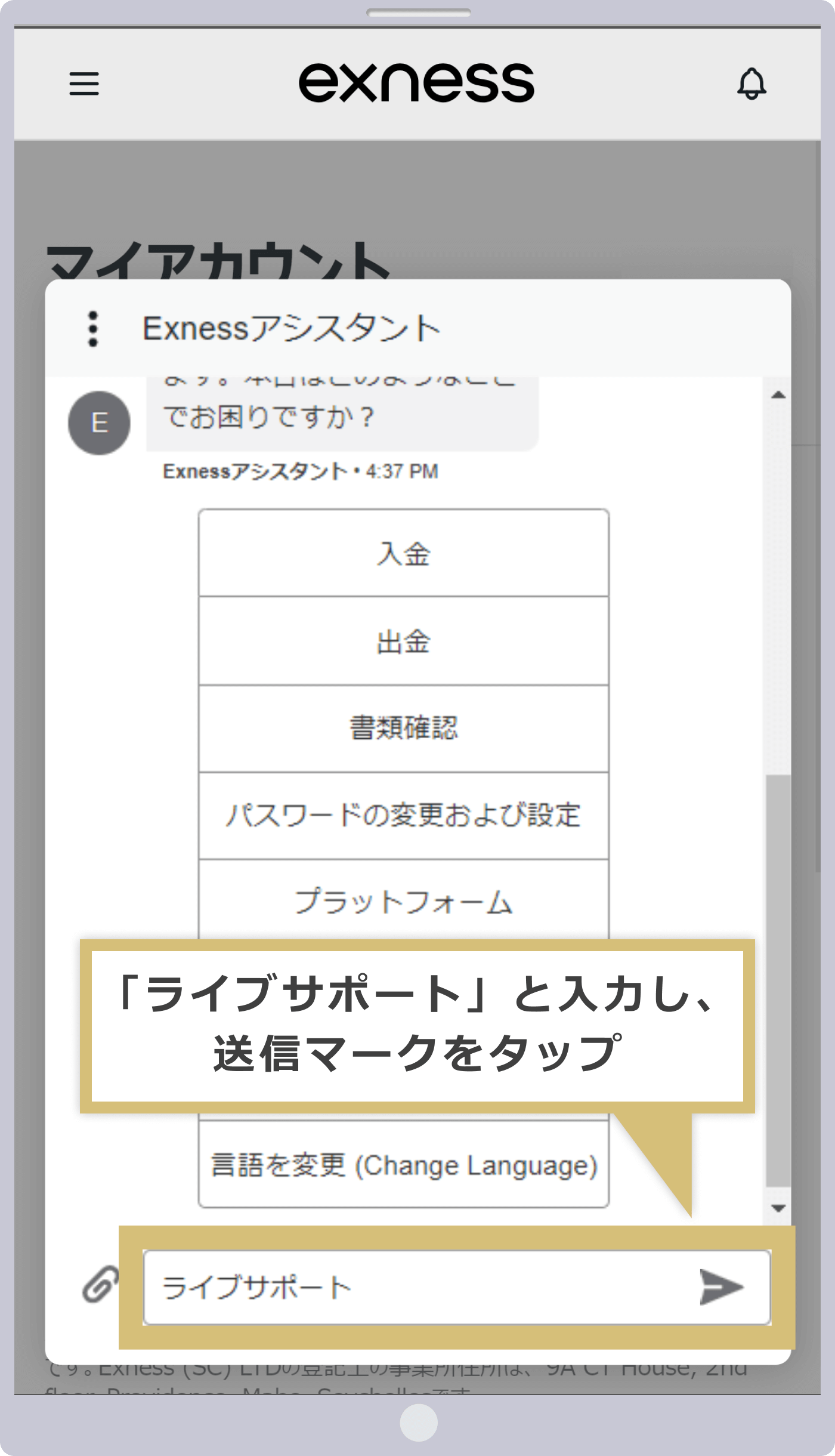 「ライブサポート」と入力