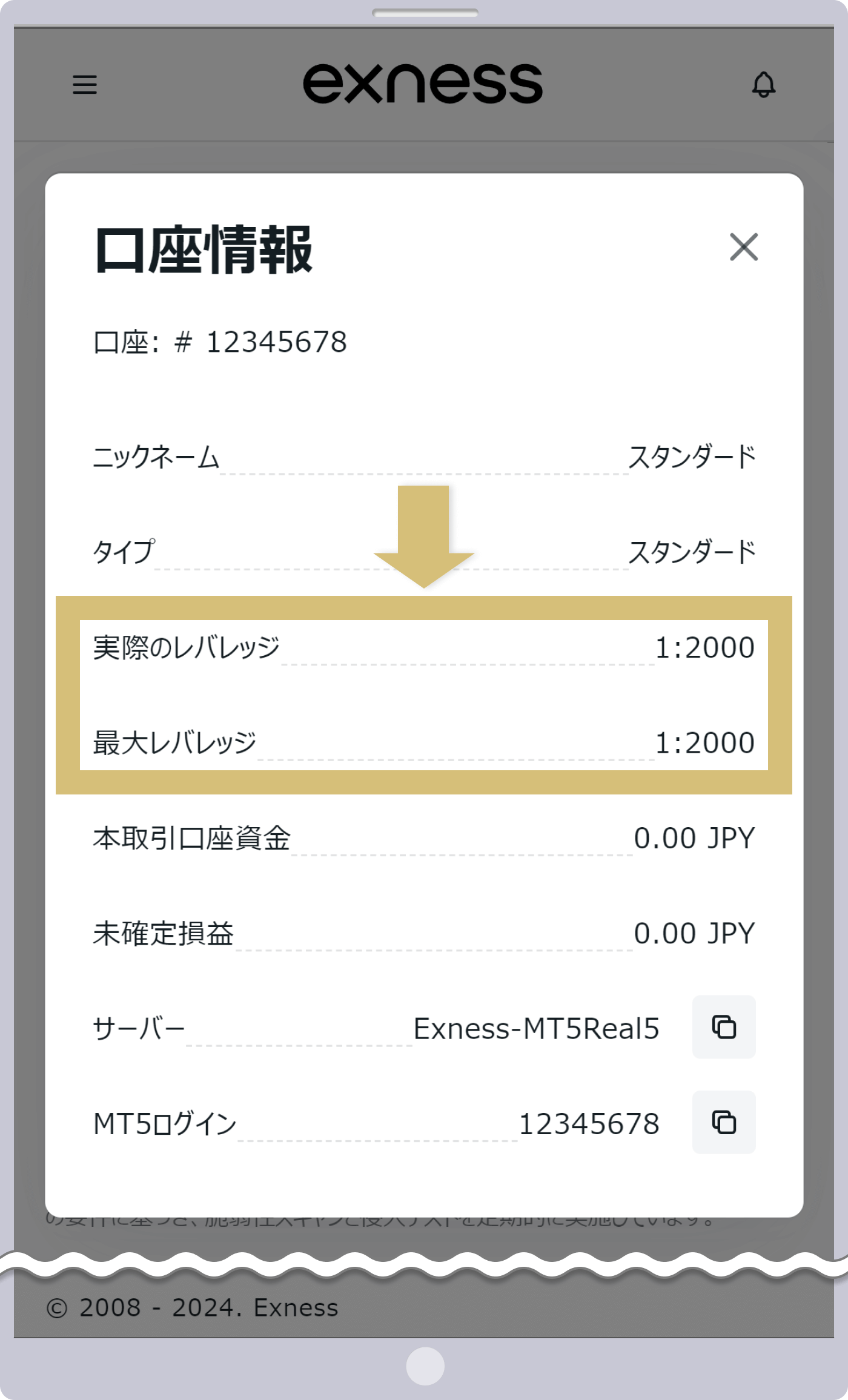 レバレッジを確認