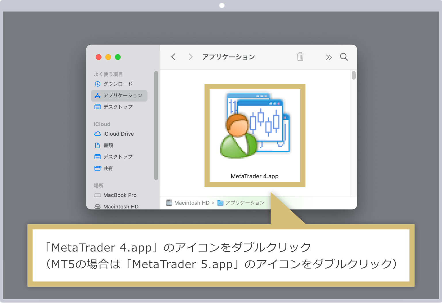 インストール完了（Mac版）