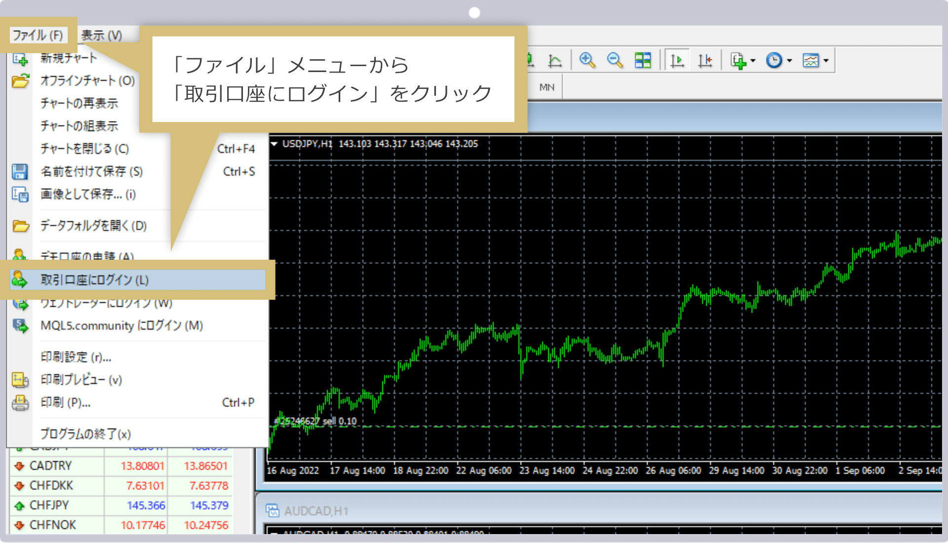 ログイン画面表示