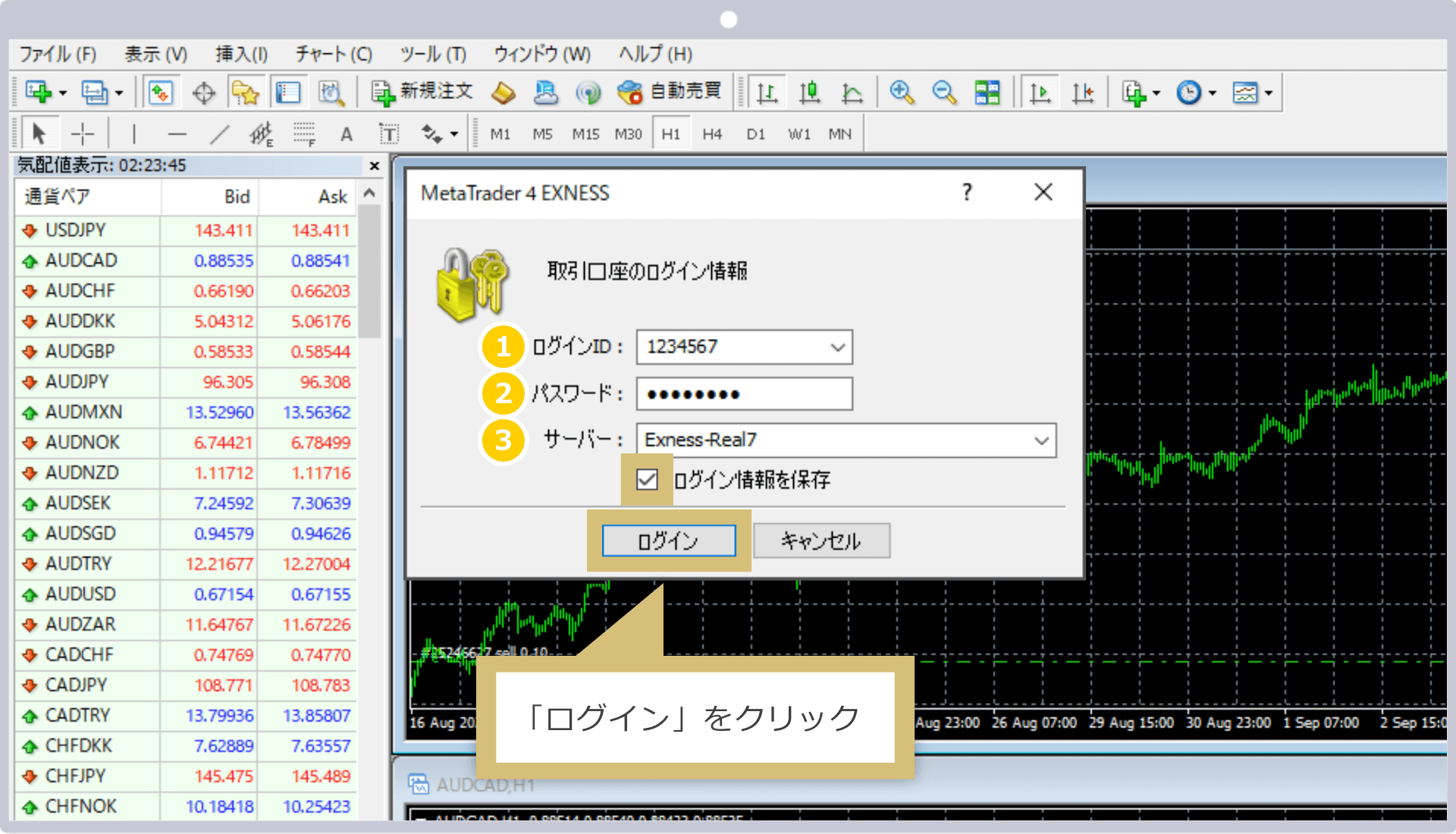 ログイン入力画面