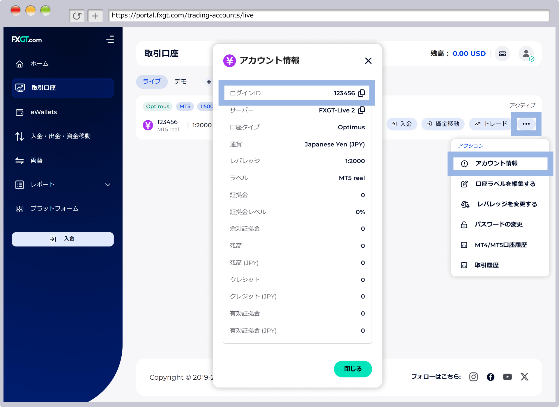 FXGT MT5ログイン情報表示