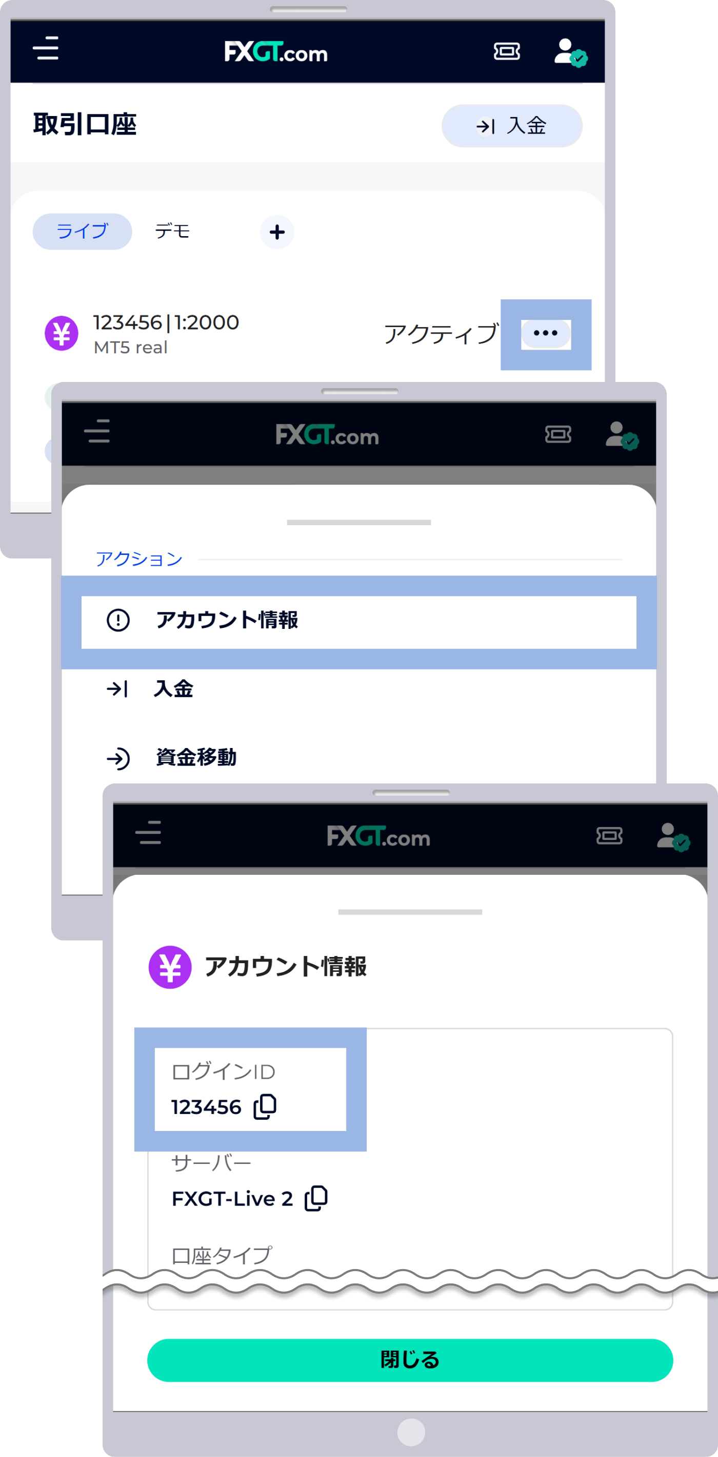 FXGT MT5ログイン情報表示