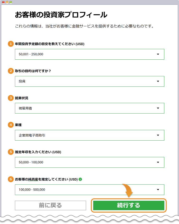 XM 財務状況の入力