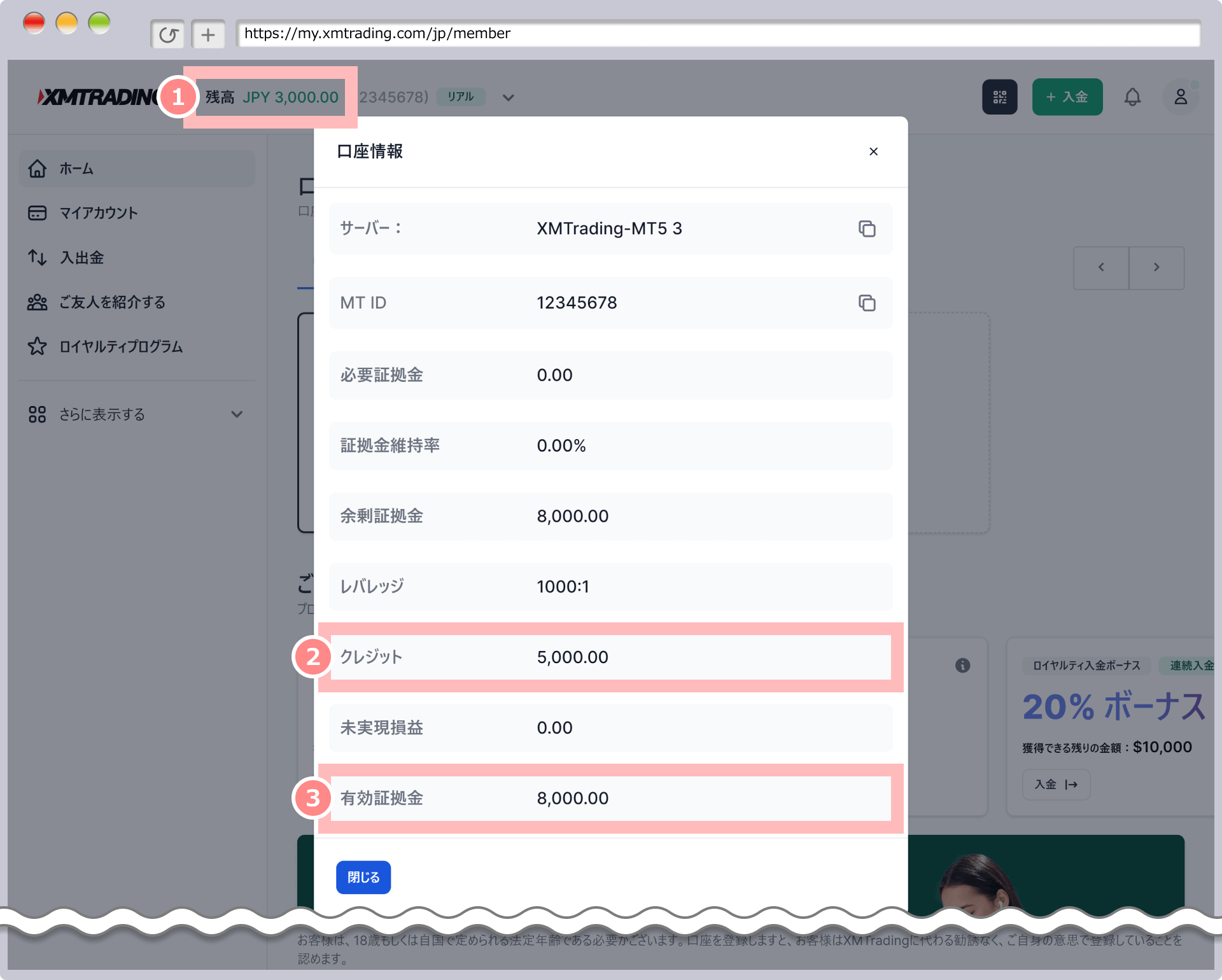 XM会員ページで確認する方法
