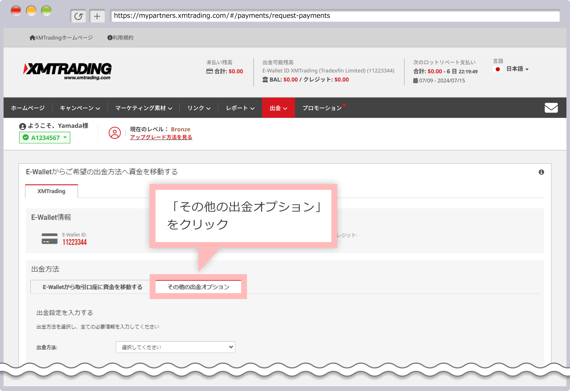 「その他の出金オプション」をクリック