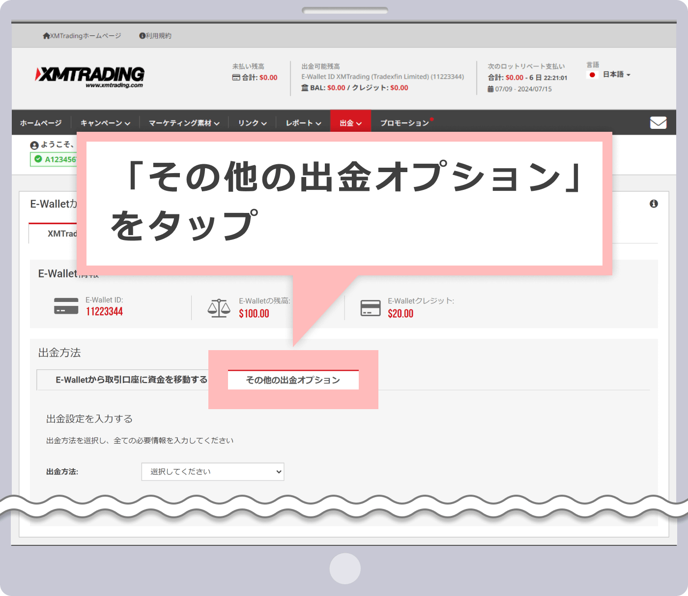 「その他の出金オプション」をタップ