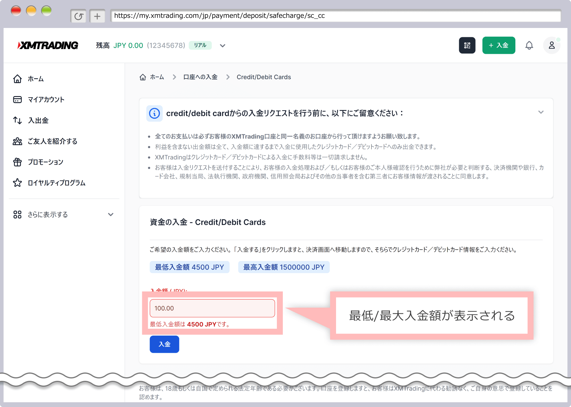 入金額の入力内容