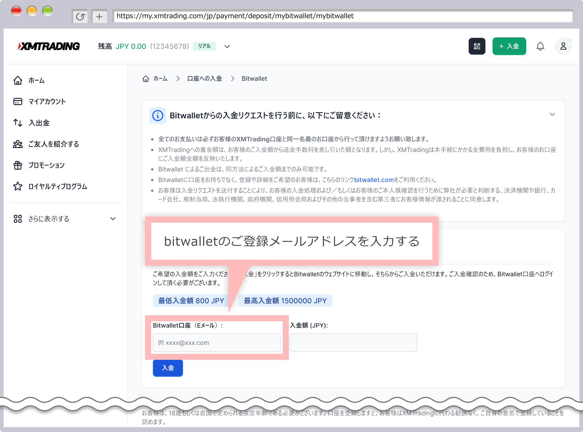 XM 資金の入金画面(bitwallet/STICPAY)