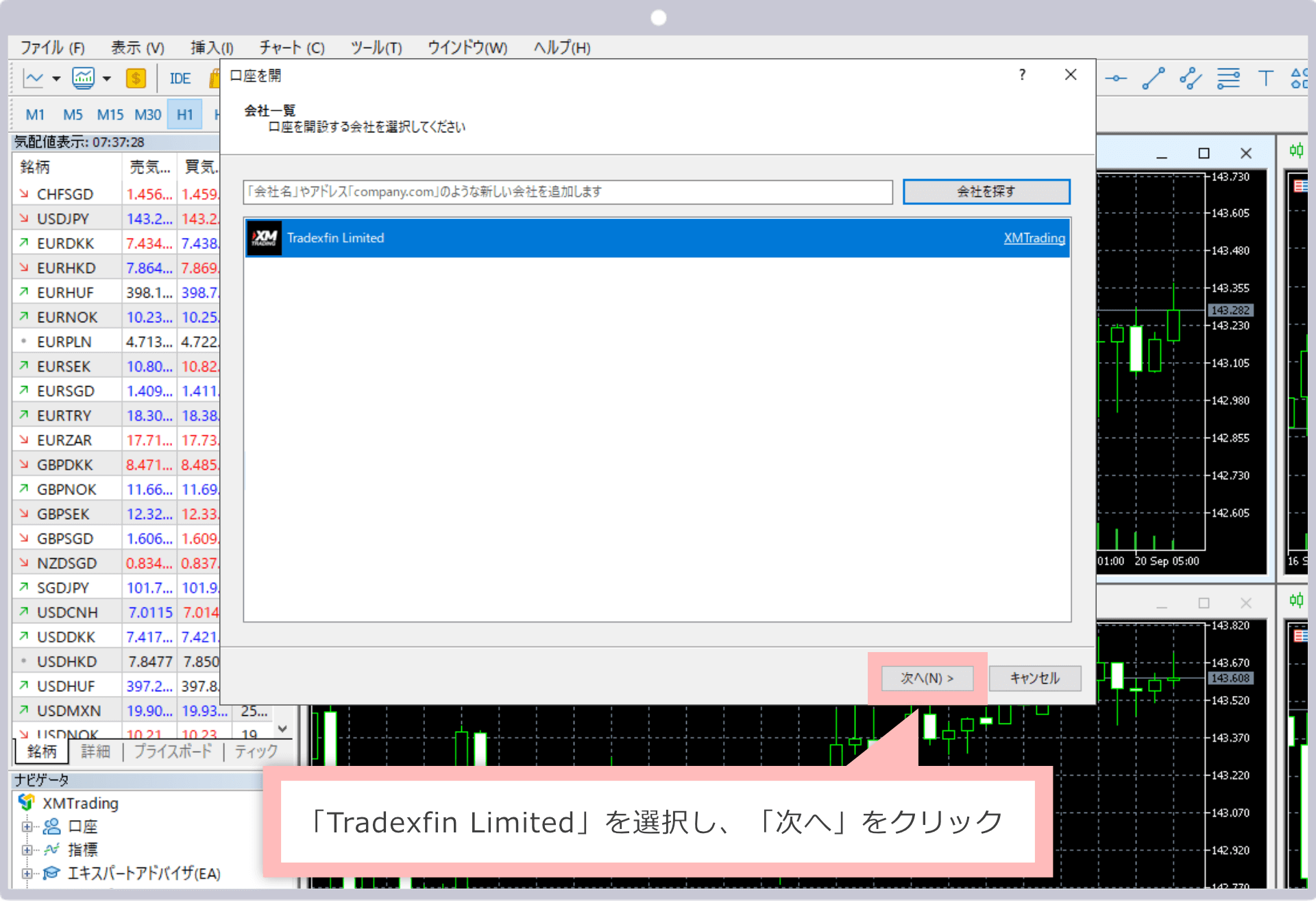 「Tradexfin Limited」を選択（Windows版）