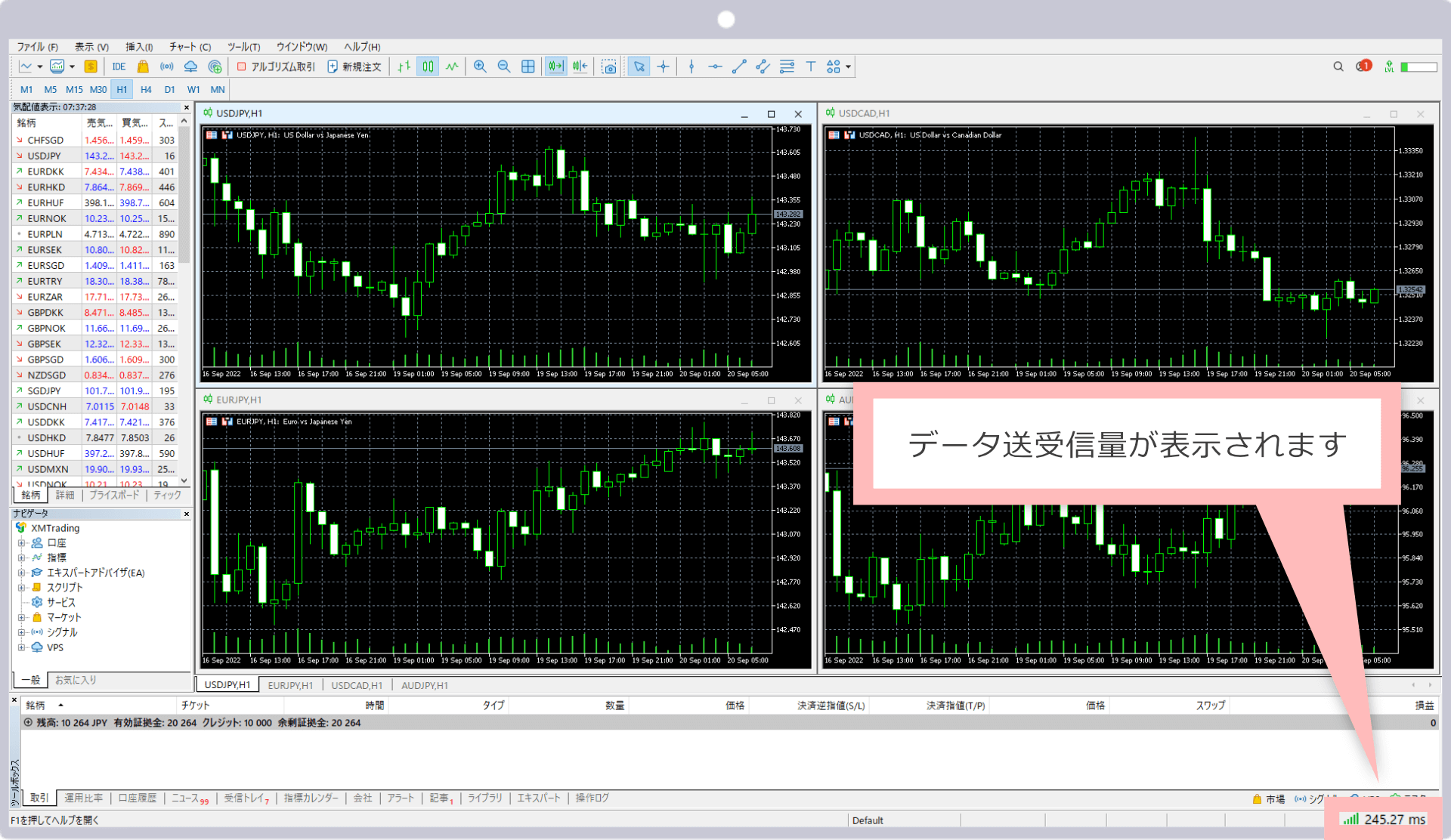MT5へのログイン完了（Windows版）
